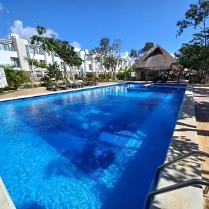book here